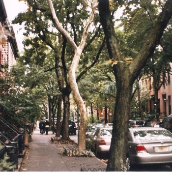 boerum-hill-tree-lined-brownstones-brooklyn-neighborhood-new-york