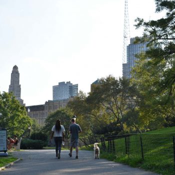 fort-greene-park-brooklyn-neighborhood-new-york