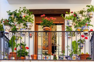 Traditional,European,Balcony,With,Colorful,Flowers,And,Flowerpots
