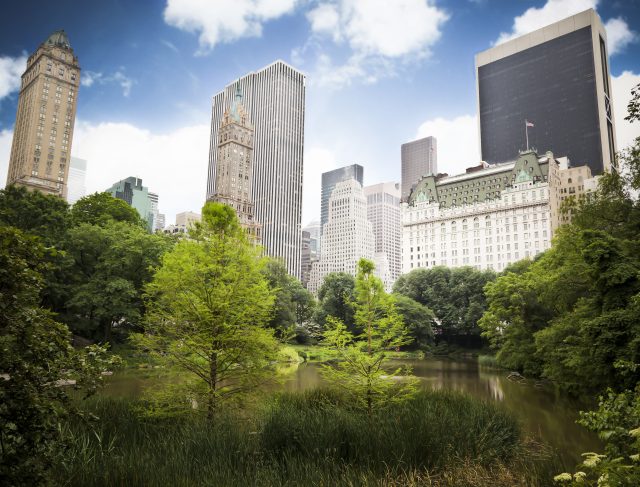 Skyscrapers,Rising,Above,The,Trees,From,Central,Park,,Great,Contrast