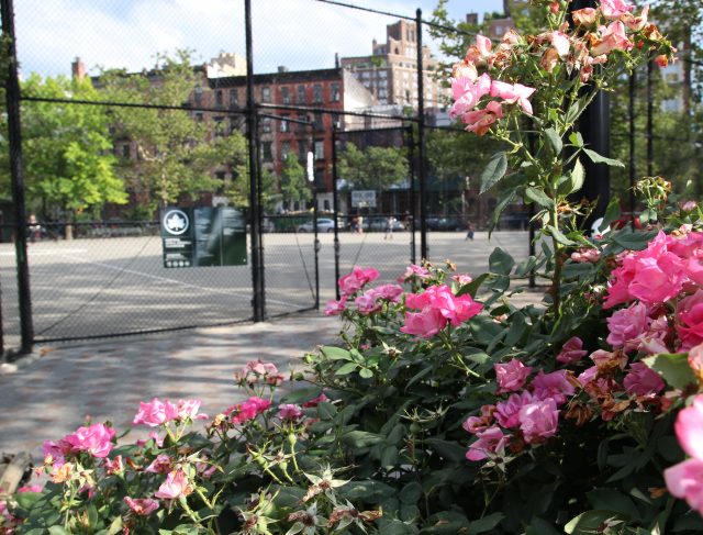 New,York,Playground