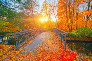 Autumn,Nature,Landscape.,Lake,Bridge,In,Fall,Forest.,Path,Way