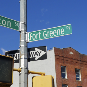 fort-greene-neighborhood